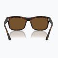 Окуляри сонцезахисні Ray-Ban RB4428 havana matte/brown polarized 5