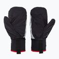 Рукавиці гірськолижні Level Ski Alper Light black 5