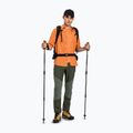 Штани трекінгові чоловічі Montura Mountain Trek verde salvia 2