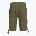 Шорти чоловічі Aeronautica Militare BE0041UCT01122 green 2