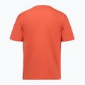 Чоловіча футболка Aeronautica Militare TS2535UJ00641 paprika 2