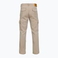 Штани чоловічі Aeronautica Militare PA1716UCT04301 winter twig 2