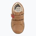 Черевики дитячі Geox Macchia caramel 5