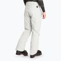 Штани гірськолижні чоловічі EA7 Emporio Armani Ski Cortina Toray quiet gray 2