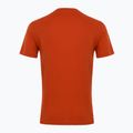 Чоловіча футболка EA7 Emporio Armani Visibility Cotton Crew з чаєм ройбуш 2