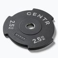 Диски бамперні Centr Olimpijski Centr x Hyrox Interlocking Bumper Plate 2 pcs black 2