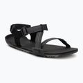 Сандалі barefoot чоловічі Xero Shoes Z-Trail EV multi / black