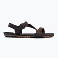 Сандалі barefoot чоловічі Xero Shoes Z-Trail EV multi / brown 2