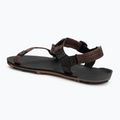Сандалі barefoot чоловічі Xero Shoes Z-Trail EV multi / brown 3