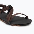 Сандалі barefoot чоловічі Xero Shoes Z-Trail EV multi / brown 7