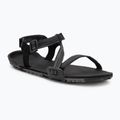 Сандалі barefoot жіночі Xero Shoes Z-Trail EV multi / black
