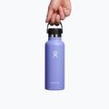 Термопляшка Hydro Flask Standard Flex 530 ml Lupine S18SX474 4