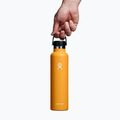 Пляшка термічна Hydro Flask Standard Flex Cap 710 мл fossil 3