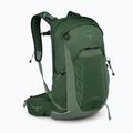 Рюкзак туристичний чоловічий Osprey Talon 22 л green canopy / pine leaf 2