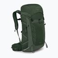 Рюкзак туристичний чоловічий Osprey Talon 33 л green canopy/ pine leaf