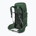 Рюкзак туристичний чоловічий Osprey Talon 33 л green canopy/ pine leaf 2