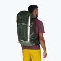 Рюкзак туристичний чоловічий Osprey Talon 33 л green canopy/ pine leaf 3