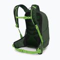 Рюкзак туристичний дитячий Osprey Talon Jr 11 л green canopy 3