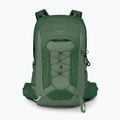Рюкзак туристичний чоловічий Osprey Talon 11 л green canopy/ pine leaf