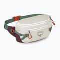 Сумка бананка Osprey Transporter Waist Pack 3 l mystery white/moody burgundy 2