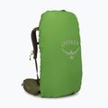 Рюкзак туристичний Osprey Kestrel 38 l moss green 5