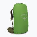 Рюкзак трекінговий Osprey Kestrel 38 l moss green 5