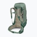 Рюкзак туристичний чоловічий Osprey Stratos 44 л pine leaf 4