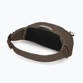 Сумка бананка Osprey Daylite Waist 2 l truffle brown 3