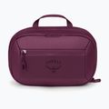 Косметичка Osprey Ozone Large Toiletry Kit moody burgundy