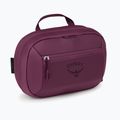 Косметичка Osprey Ozone Large Toiletry Kit moody burgundy 2