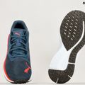 Кросівки для бігу чоловічі PUMA Aviator Profoam Sky Better синє 376616 03 14