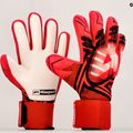 Рукавиці воротарські 4keepers Evo Vera NC червоні/чорні/білі 4