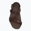 Сандалі barefoot чоловічі Xero Shoes Z-Trek brown 5