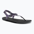 Сандалі barefoot жіночі Xero Shoes H-Trail sage purple HTW-SGPU