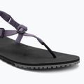 Сандалі barefoot жіночі Xero Shoes H-Trail sage purple HTW-SGPU 7