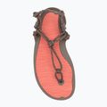 Сандалі barefoot жіночі Xero Shoes Aqua Cloud moel/sunset coral 5