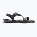 Сандалі barefoot чоловічі Xero Shoes Z-Trail EV steel gray/asphalt