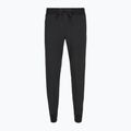 Жіночі штани Royal Robbins Spotless Evolution Jogger реактивні чорні