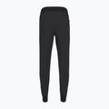 Жіночі штани Royal Robbins Spotless Evolution Jogger реактивні чорні 2