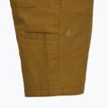 Чоловічі шорти Royal Robbins Half Dome койот 4