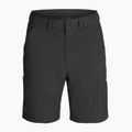 Штани чоловічі Royal Robbins Wilder Zip-Off charcoal 9