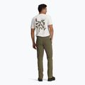 Штани чоловічі Royal Robbins Wilder everglade 3