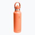 Пляшка термічна Hydro Flask Standard Flex Straw 620 мл nectar 2
