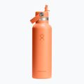 Пляшка термічна Hydro Flask Standard Flex Straw 620 мл nectar