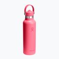 Термопляшка Hydro Flask Standard Flex 621 мл popstar pink 2