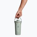 Шейкер Hydro Flask Insulated Shaker 710 ml agave 4