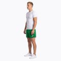 Шорти для бігу чоловічі Joma Record II green 3