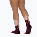 Шкарпетки BUFF Midweight Crew wine 5