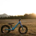 Велосипед біговий Orbea MX 12 синій M00112I1 7