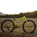 Велосипед дитячий Orbea MX20 Team жовтий M00520I6 6